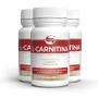 Imagem de Kit 3 L-Carnitina + B6 Vitafor 60 cápsulas