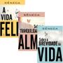 Imagem de Kit 3 Livros Sêneca A vida feliz + Sobre a tranquilidade da alma + Sobre a brevidade da vida - Atividade Educativo Amigo