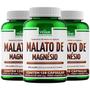 Imagem de Kit 3 Malato de Magnésio Vitalab 500mg 120 Cápsulas