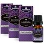 Imagem de Kit 3 Óleo Essencial de Lavanda MontBlanc 10ml Puro  Chamed