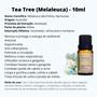 Imagem de Kit 3 Óleo Essencial de Melaleuca (Tea Tree) Via Aroma 10ml