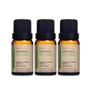 Imagem de Kit 3 Óleos Essenciais Tea Tree (Melaleuca) Via Aroma - 10ml