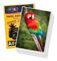 Imagem de Kit 3 Papel Fotográfico HIgh Glossy A4 180g