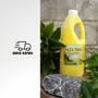 Imagem de Kit 3 Pasta Pinho de 2Litros para Limpeza Pesada da sua casa