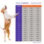 Imagem de Kit 3 Peças Roupinha Soft Nº2 para Cães Cachorro Pet