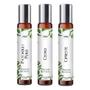 Imagem de Kit 3 Perfumes Spray 10ml - Notas Terrosas para Ele