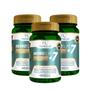 Imagem de Kit 3 picolinato de cromo + quitosana + psyllium + espirulina 600mg