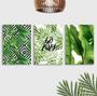 Imagem de Kit 3 Placas Decorativas Folhagens Tropical Folhas 20x30