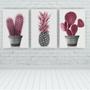 Imagem de Kit 3 Placas Quadros Decorativos 20X30 Floral Cacto Rosa