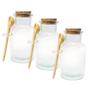 Imagem de Kit 3 Pote Porta Tempero Redondo Vidro com Colher de Bambu e Tampa Rolha 100ml