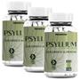 Imagem de Kit 3 Potes Psyllium Suplemento Alimentar Produto Natural 100% Puro Original Premium 180 Cápsulas Natunéctar