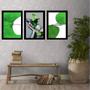 Imagem de Kit 3 Quadros Abstratos Verdes 33x24cm - Com Vidro