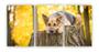 Imagem de Kit 3 quadros decorativo cachorro pastor alemão dog pet