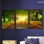 Imagem de Kit 3 quadros decorativos 40x60cm canvas tunel verde outono flnt032k