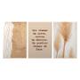 Imagem de Kit 3 Quadros Decorativos Bege Boho Frase