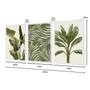 Imagem de Kit 3 Quadros Decorativos Folhagens Plantas Verdes 43x63cm