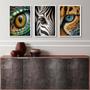 Imagem de Kit 3 Quadros Decorativos Fotografias Olhos De Animais 45x34cm