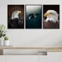 Imagem de Kit 3 Quadros Decorativos Fotos Águia 45x34cm