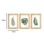 Imagem de Kit 3 Quadros Decorativos Sala Escritório Jardim Folhas Verde Natureza Costela Adão Plantas Decoração