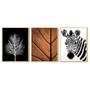 Imagem de Kit 3 Quadros Decorativos Zebra Árvore Seca Folhagem