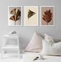 Imagem de Kit 3 Quadros Elegantes Flores Marrom E Dourado 45X34Cm