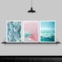 Imagem de Kit 3 Quadros Estrela Do Mar Rosa E Azul 33x24cm - com vidro