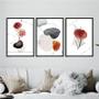 Imagem de Kit 3 Quadros Flores One Line Aquarela 33x24cm - com vidro