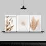 Imagem de Kit 3 Quadros Flores Secas Bege 33x24cm - com vidro