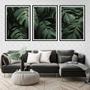 Imagem de Kit 3 Quadros Folhas Tropicais 24x18cm - com vidro