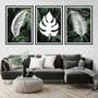 Imagem de Kit 3 Quadros Folhas Tropicais Branco 24x18cm