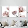 Imagem de Kit 3 Quadros Fotografias Modernas Flores Rosê 33x24cm - com vidro