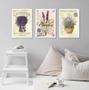 Imagem de Kit 3 Quadros Lavanda Francesa Provence 24x18cm - com vidro