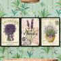 Imagem de Kit 3 Quadros Lavanda Francesa Provence 24x18cm - Com Vidro