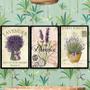 Imagem de Kit 3 Quadros Lavanda Francesa Provence 33x24cm - com vidro