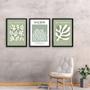Imagem de Kit 3 Quadros Matisse Verde - Corais 45x34cm - com vidro