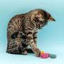 Imagem de Kit 3 Ratos De Pelúcia Em Cores Vibrantes Brinquedos Para Gato Com Catnip