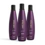 Imagem de Kit 3 Shampoo 300mL Aneethun Defrizante No Frizz System