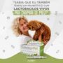 Imagem de Kit 3 Suplemento Probiótico Pet 14gr Avert Para Cães E Gatos