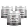 Imagem de Kit 3 True Creatine 100% Pure Creatina Monohidratada 300g TrueSource