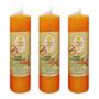 Imagem de Kit 3 und Vela Votiva 7 dias Aroma Citronela - 210 gr cada