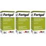 Imagem de Kit 3 unidades - fortgal sol inj 100 ml