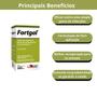 Imagem de Kit 3 unidades - fortgal sol inj 100 ml