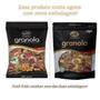 Imagem de Kit 3 Unidades Granola Premium Ws Naturais 500G