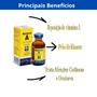 Imagem de Kit 3 unidades - monovim a 20ml bravet