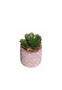 Imagem de Kit 3 Vaso Cimento Cachepot Suculenta Planta Artificial Rosa