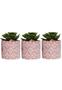 Imagem de Kit 3 Vaso Cimento Cachepot Suculenta Planta Artificial Rosa