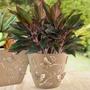 Imagem de Kit 3 Vaso Decorativo Cachepot Plantas Flor Suculenta Jardim 3D 2,5L Design Sofisticado