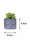 Imagem de Kit 3 Vaso em Cimento Suculenta Planta Artificial Cor Azul