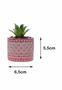 Imagem de Kit 3 Vasos em Cimento Decorativo Pink com Suculenta Planta