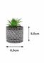 Imagem de Kit 3 Vasos em Cimento Decorativo Preto com Suculenta Planta